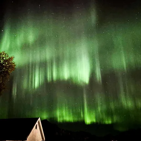 Scenic Lofoten Fjord View Aurora & Midnight Sun *